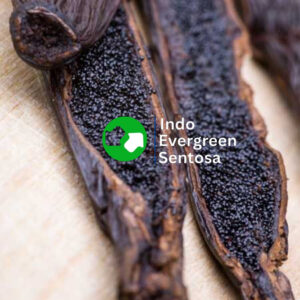 Best Indonesian Vanilla Beans Supplier & Exporter