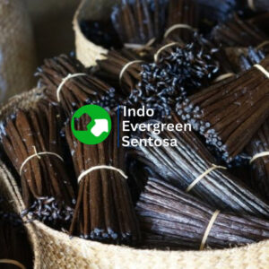 Types and Grades of Indonesian Vanilla Beans
