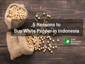 5 Reasons to Buy White Pepper in Indonesia