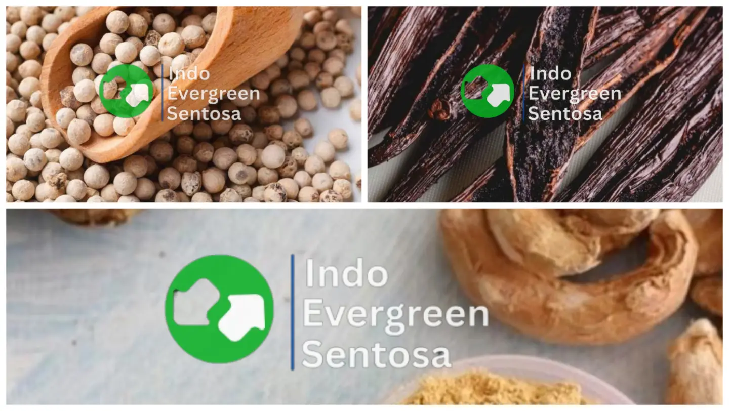 Banner Indo Evergreen Sentosa comodities
